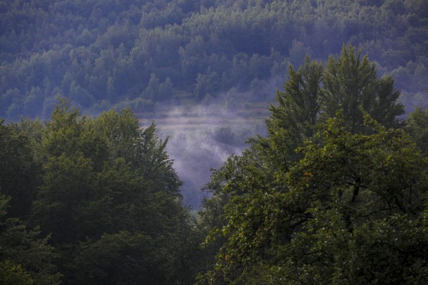 Горы и Лес в Закарпатье, где регулярно проходят летние семинары с Му Юйчунем