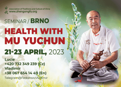 Seminar, Mu Yuchun, 2023, Brno, Czech Republic, health, TCM
